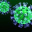 Будет ли эта эпидемия коронавируса последней? Как мы можем помочь врачам?