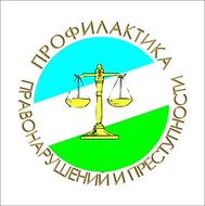 На территории Лысогорского района действует муниципальная программа по профилактике правонарушений и усилению борьбы с преступностью