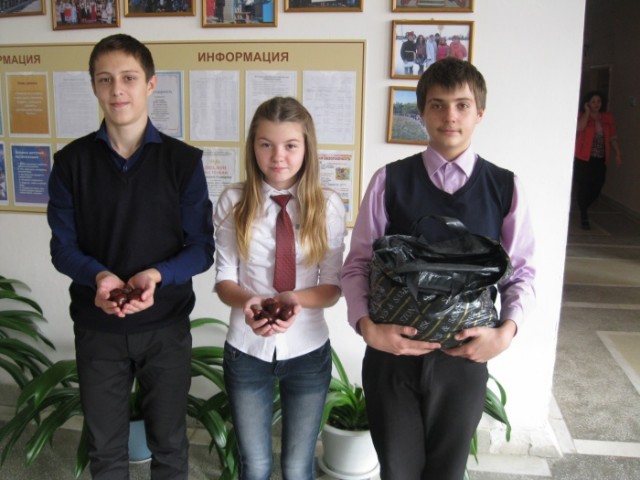 Учащиеся школы №2 районного центра приняли участие в областном экологическом конкурсе "За лесными семенами"