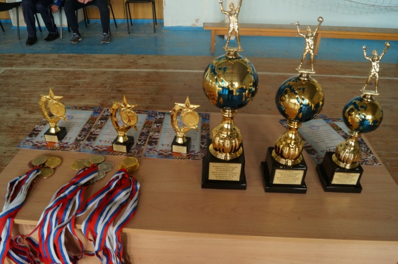 В р.п. Лысые Горы состоялся турнир по волейболу, посвященный памяти Д.И. Симбирцева