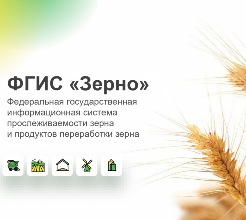 Субсидии на производство и реализацию зерновых будут доступны только при внесении данных во ФГИС «Зерно»