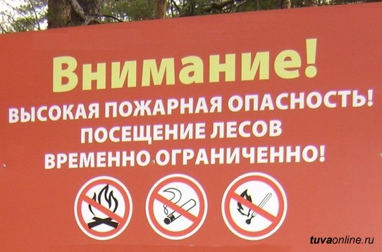 В районах Саратовской области введено ограничение пребывания граждан в лесах