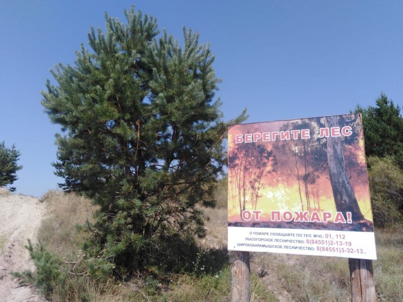 В муниципальных образованиях Лысогорского района введен особый противопожарный режим