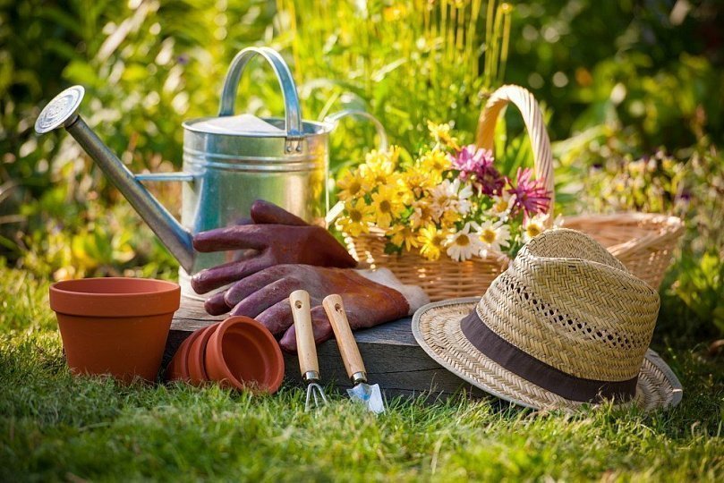 Вступили в силу новые правила для садоводов и огородников