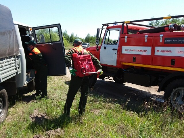 На территории Лысогорского лесничества прошла учебная тренировка по обнаружению и тушению лесного пожара