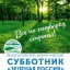 Всероссийский экологический субботник «Зеленая Россия»
