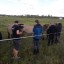 В Лысогорском районе прошли съёмки проекта о путешествиях "По краю" 7