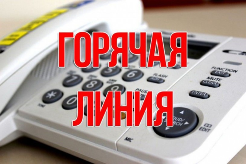 С начала года на «горячую линию» Отделения СФР по Саратовской области поступило более 13 тысяч звонков от жителей региона