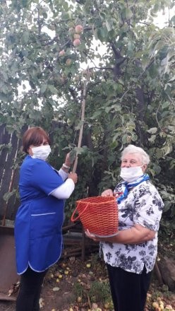 В Лысогорском районе проходит акция "Урожайная грядка"