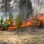 На землях лесного фонда Саратовской области начался пожароопасный сезон-2020