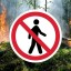 На территории Саратовской области действует ограничение пребывания граждан в лесах