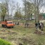 ​В Лысогорском районе прошел Всероссийский субботник 2