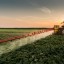 Нарушение санитарного законодательства в обработке полей пестицидами и агрохимикатами
