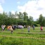 В Лысогорском районе состоялся первый муниципальный аграрный фестиваль «Крестьянская колея» 7
