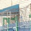10 тысяч заключенных в Саратовской области станут участниками переписи населения