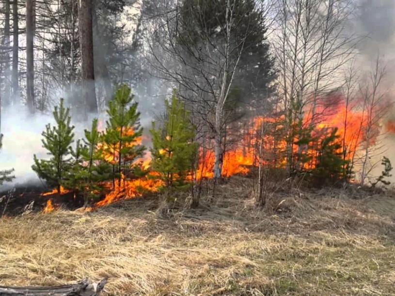 На землях лесного фонда Саратовской области начался пожароопасный сезон-2020