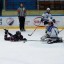 Самые юные хоккеисты Лысогорского района взяли "серебро" на областном турнире "Золотая шайба" 3