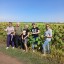 Мониторинг посевов сельскохозяйственных культур в Лысогорском и Калининском районах 1