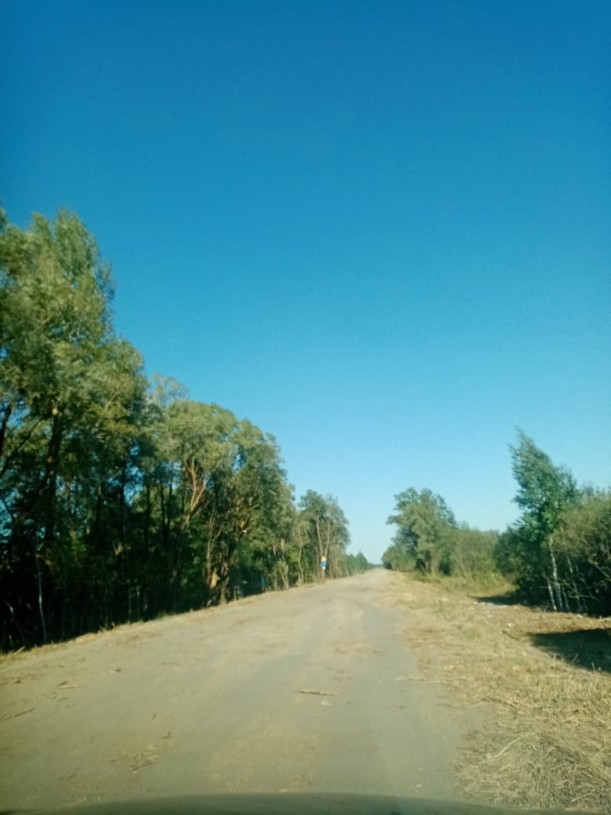 В районе продолжаются работы по уничтожению древесно-кустарниковой растительности на обочинах региональных дорог