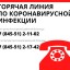 Телефон "горячей линии" по коронавирусной инфекции в Лысогорском районе