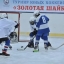 Младшая группа хоккеистов из Лысогорского района приняла участие в областном турнире "Золотая шайба"