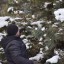 ​В Саратовской области для создания будущих лесов заготовлено 10 тонн семян 3