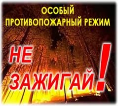На территории Лысогорского муниципального района введен особый противопожарный режим