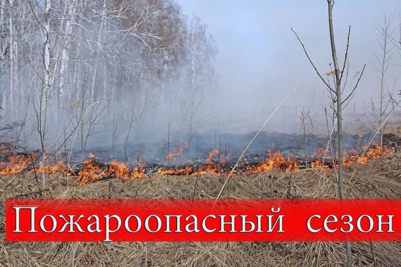 О  прохождении пожароопасного сезона 2019 года на территории Лысогорского лесничества в границах Лысогорского муниципального района