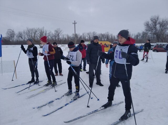 Школьники из Лысых Гор приняли участие в областных соревнованиях зимнего фестиваля ГТО