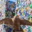 ​Ястребы-тетеревятники отмечают год работы на саратовских мусоросортировочных комплексах АО «Ситиматик»