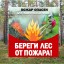 Памятка "Действия населения по предотвращению лесных и ландшафтных пожаров"