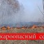 О прохождении пожароопасного сезона 2019 года на территории Лысогорского лесничества в границах Лысогорского муниципального района