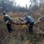 ​В Лысогорском районе прошла добровольческая акция по заготовке дров для наших бойцов