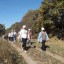 В Лысогорском районе прошла акция "10 000 шагов к жизни", приуроченная к Всемирному дню сердца 7