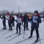Школьники из Лысых Гор приняли участие в областных соревнованиях зимнего фестиваля ГТО