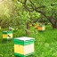 В Саратовской области за 5 лет выросло количество пчел на 16%