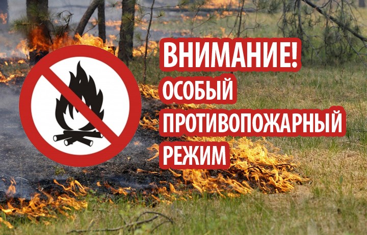 На землях лесного фонда Саратовской области введен особый противопожарный режим