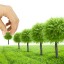 Комиссия по контролю за сохранением и созданием зеленых насаждений на территории Лысогорского муниципального района