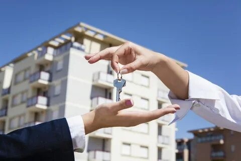 Какие выписки нужны для безопасной покупки квартиры?