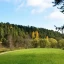Скоро в ЕГРН будут вносить границы лесопарковых зеленых поясов
